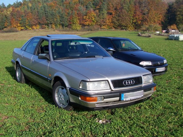 Audi Fest 2011