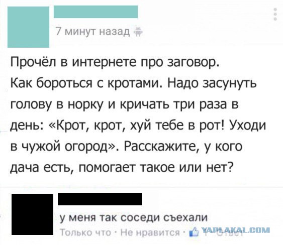 В моём городе комары просто жрут людей!