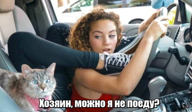 Прикольные картинки абавсём