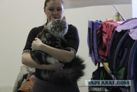 Котовторник 27.03.2012