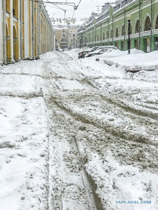Что творится на дорогах Петербурга после снегопада