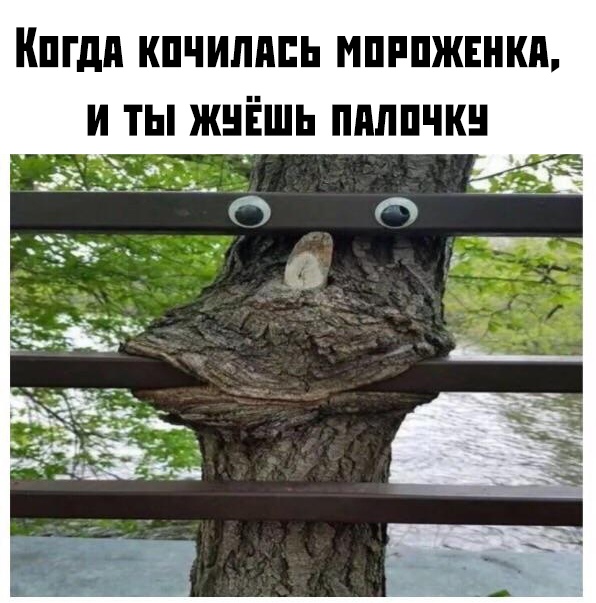 Забавные шутки, картинки и фразы из этих ваших интернетов