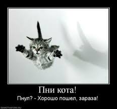 С какими женщинами не стоит связываться.
