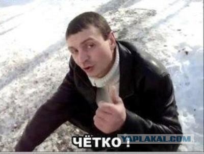 Тактический тапок диванного бойца