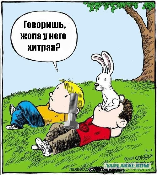 Смотрим на облака вместе