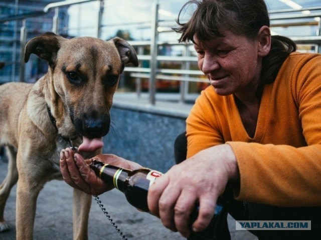 Картинки разные на сегодня
