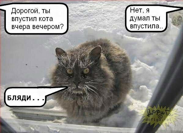 Пятница. И немного слегка пошлых картинок с надписями и без 16+ (02.10)