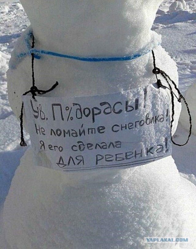 Фотосалат и картинки