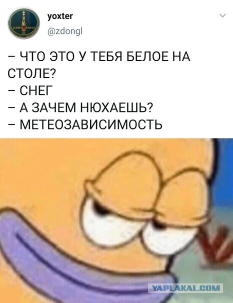 Бредзона 21.02.21