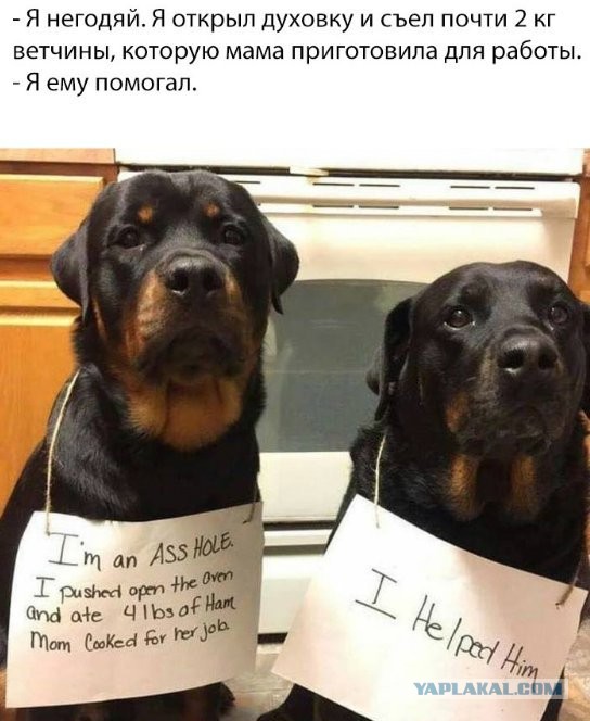 Картинки разные
