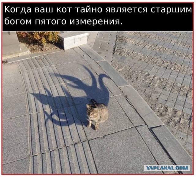 Картинки с надписями и всякие жизненные фразы 1.05.21