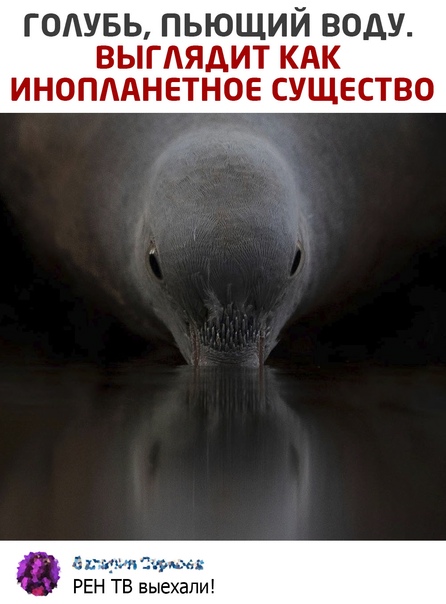 Юмор и прикольные картинки 14.05.2021
