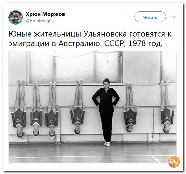 Шаги Истории