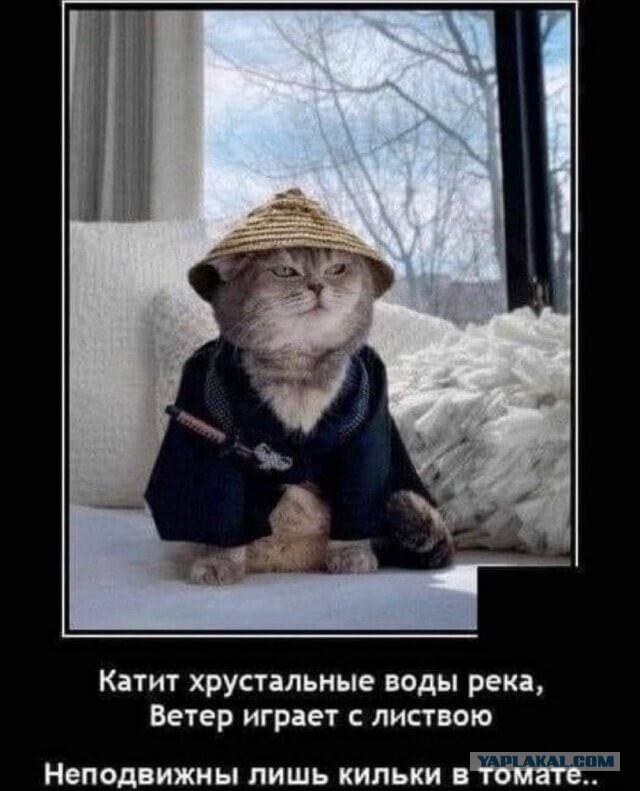 Калейдоскоп картинок