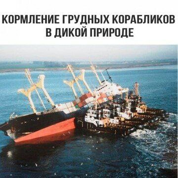 Картинки для настроения