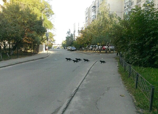 Так себе картинки 04.12.21