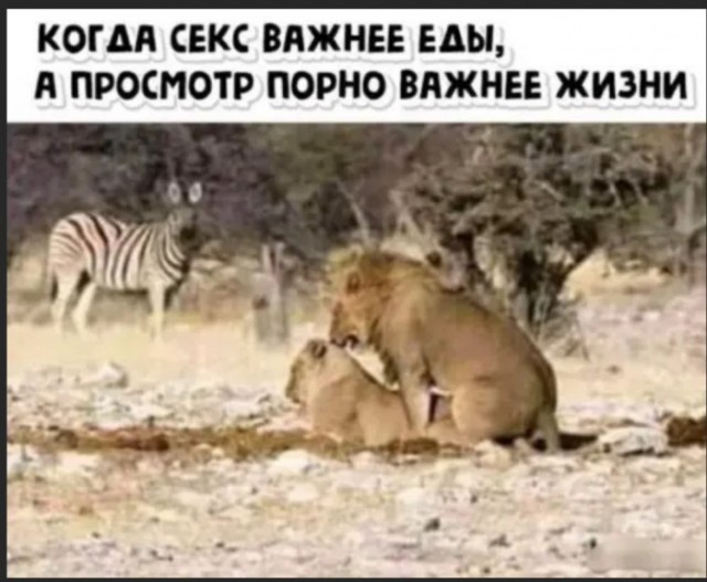 Пятница. И немного слегка пошлых картинок с надписями и без 16+ (04.02)