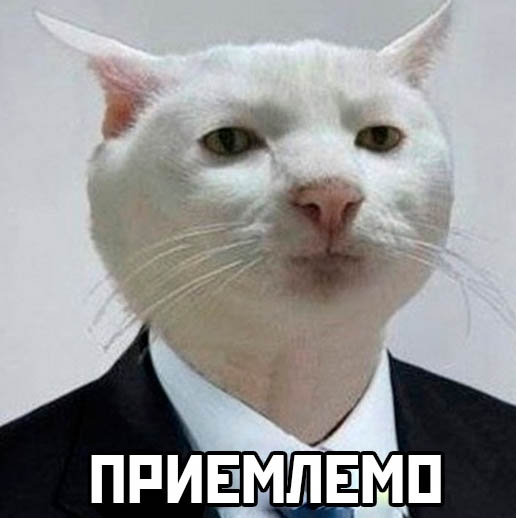 Это корректно. В Сербии заявили, что готовы платить за газ рублями