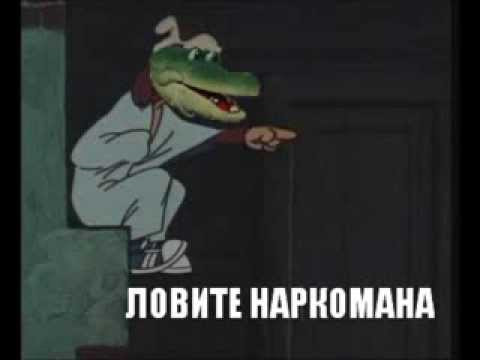 Зеленский потребовал от ООН исключить Россию из Совета безопасности