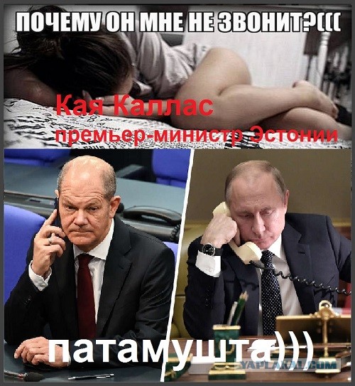 Премьер-министр Эстонии призвала западных лидеров перестать звонить Путину.
