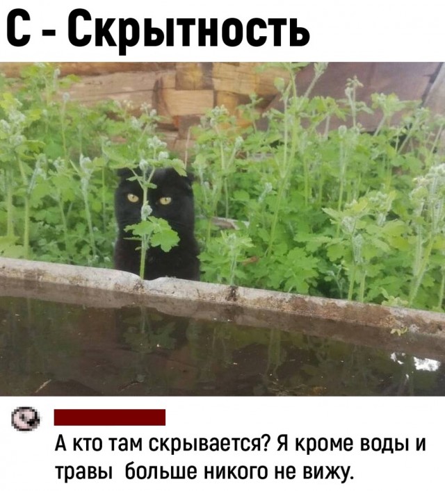 Так себе картинки 26.05.22