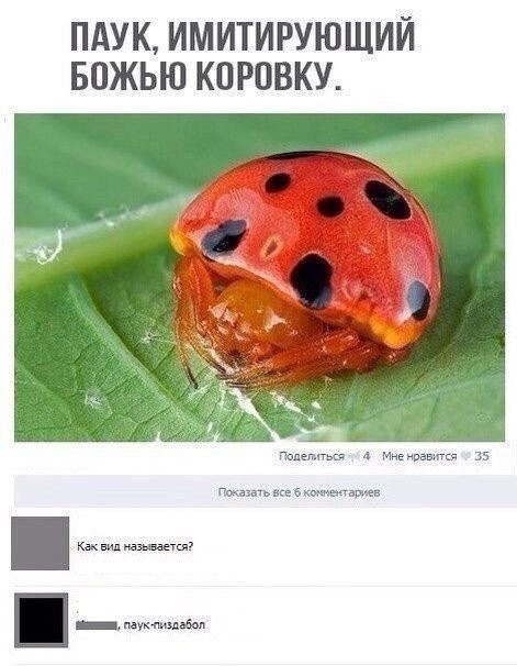 Скриншоты и комментарии из социальных сетей 27.07.22