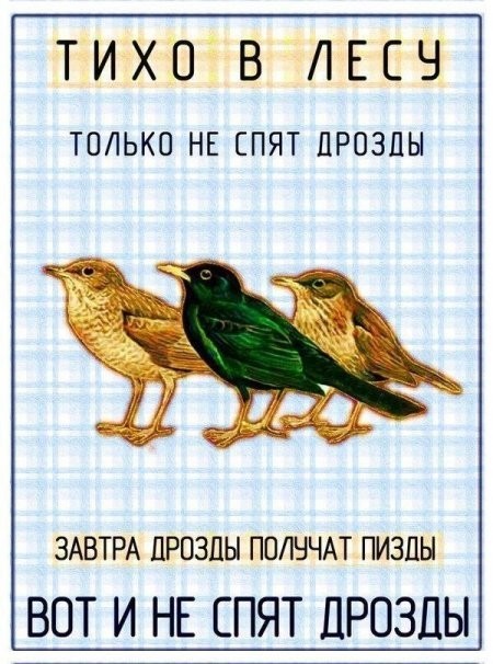 50 оттенков серого или самосвал баянов. Vol. 18. 50 штук.