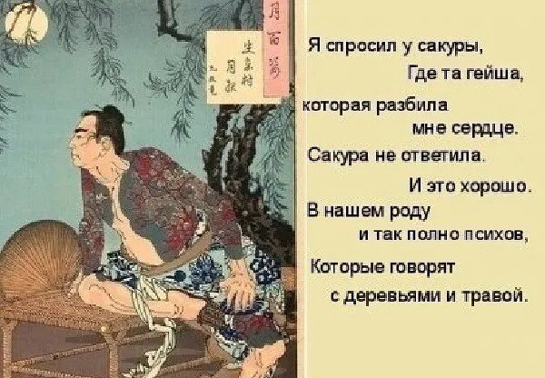 Прикольные и просто красивые картинки 09.11.2022