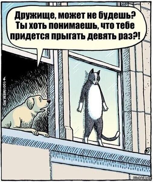 Забавные комментарии из социальных сетей (12.12.22)