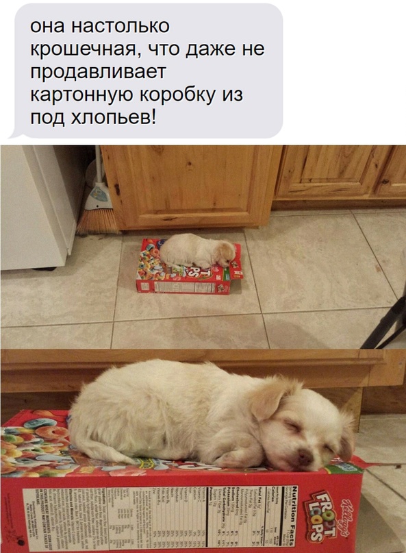Картинки и мемы, всем хороших выходных