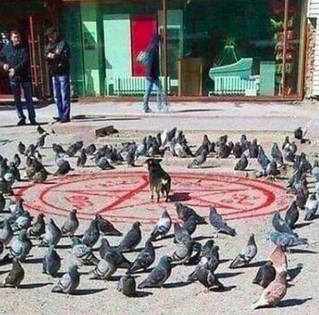 Salve Satanas