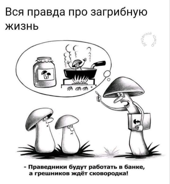 Слава богу, я безбожник #7