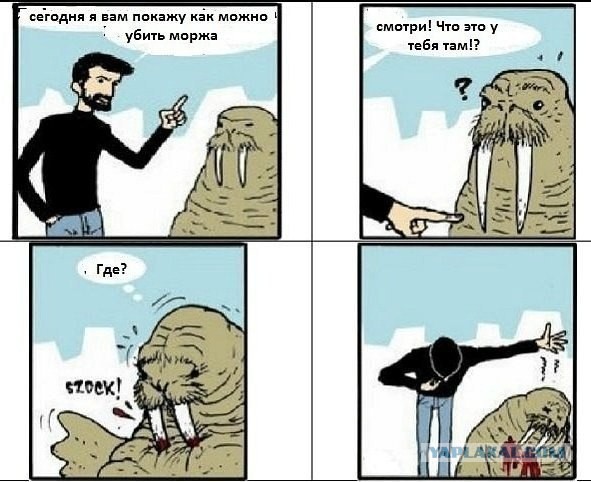 Шутник, блин...