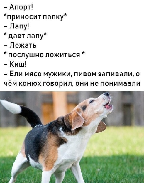 Нуштош 06.01.2024