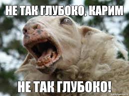 Сверхсекретное ночное задание