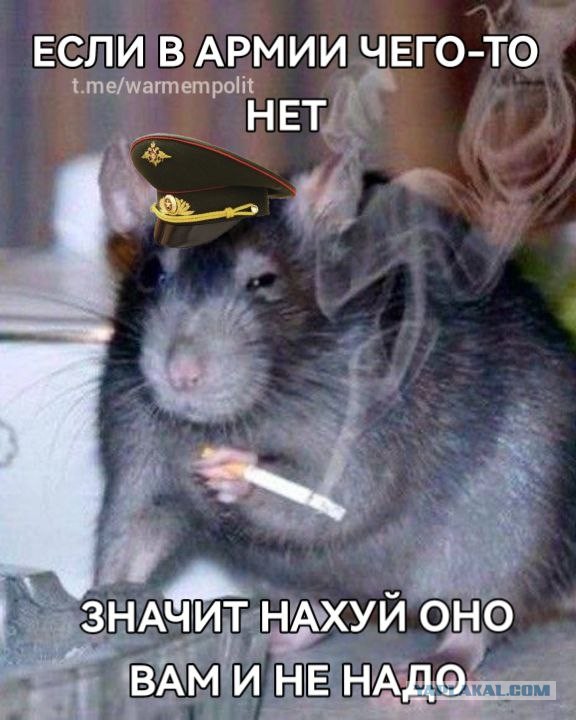 Вы что там, угораете? В какую дурку? ©