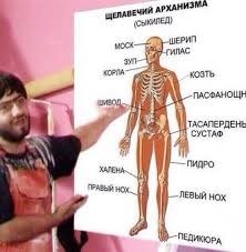 Холостяцкое