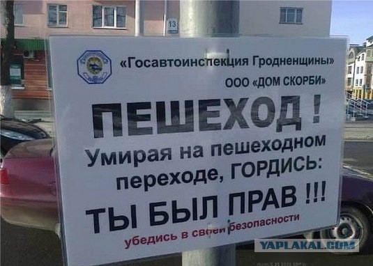 На пешеходных переходах в Подмосковье начали устанавливать необычные щиты