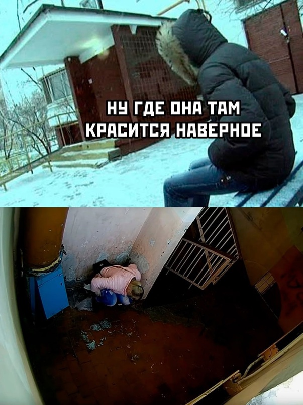 Весёлый полтишок 08.04.24