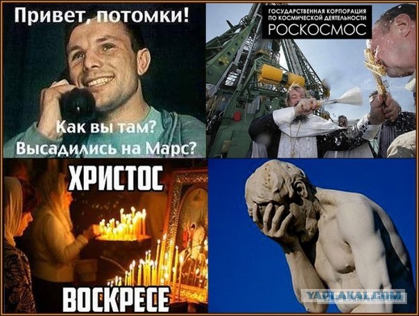 Ты обезьяна