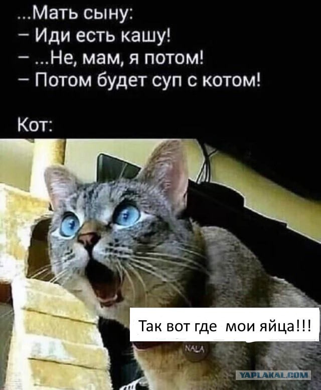 Отряд быстрого деградирования