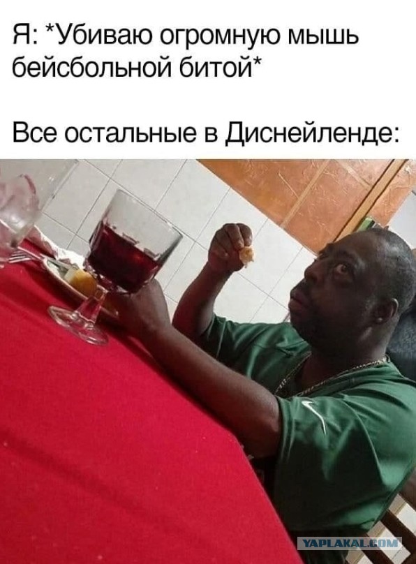 Так себе картинки 22.08.24