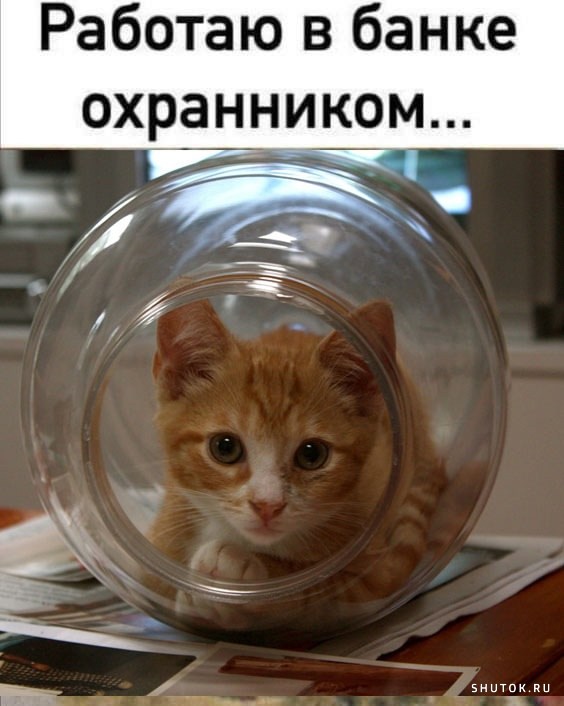 Пятничное. Для определения степени "уравнения"