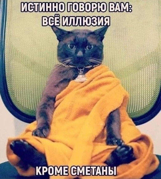 Так себе картинки 29.10.24