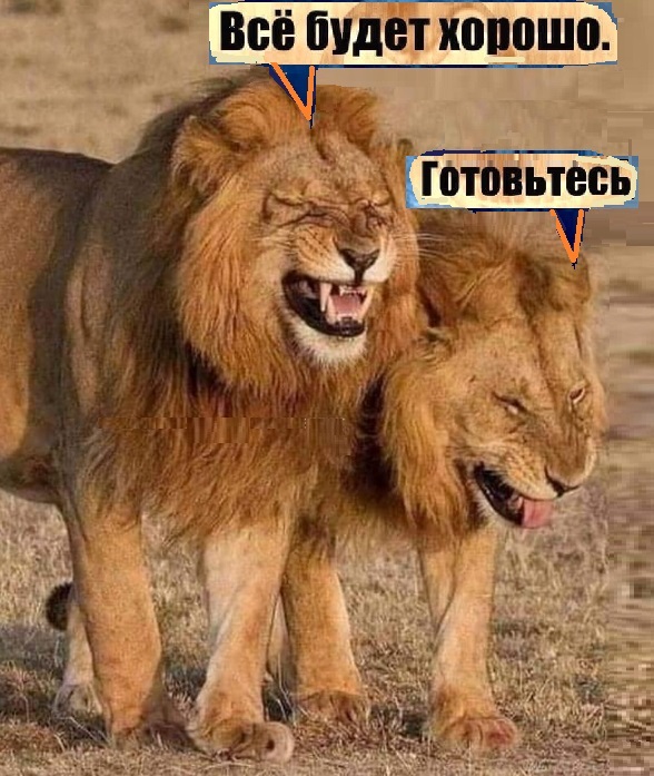 Картинки разные с надписями и без