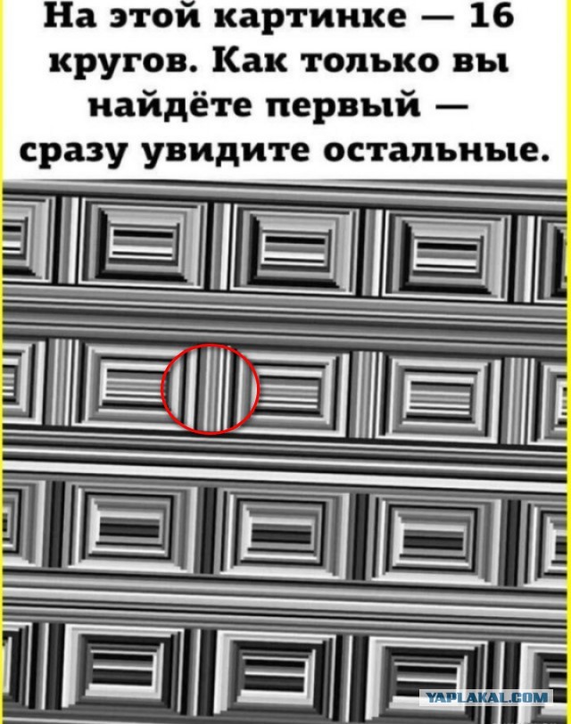 Сборник Баянов