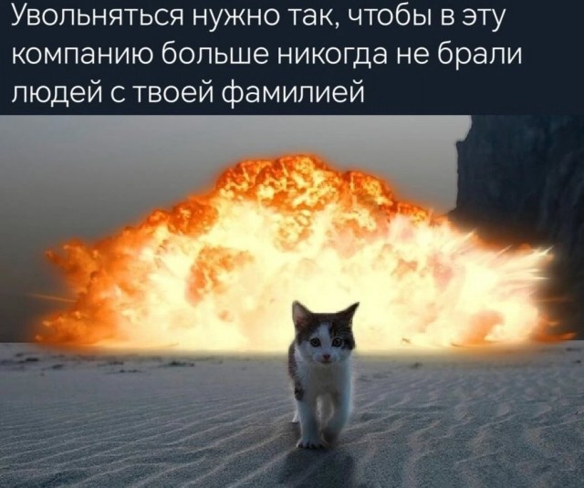 К котовторнику: подборка картинок-баянов с котиками и про котиков. Выпуск 4