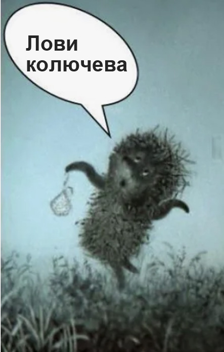 Лично мне непонятно,на что они вообще рассчитывали?