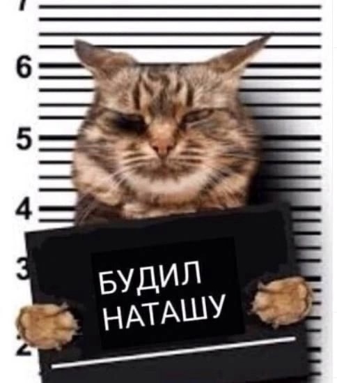 Веселые картинки в понедельник (18.08)