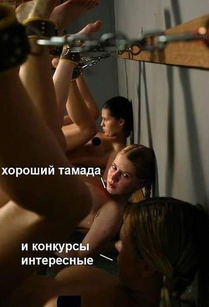 Картинки для деградации 71 (разной степени свежести)